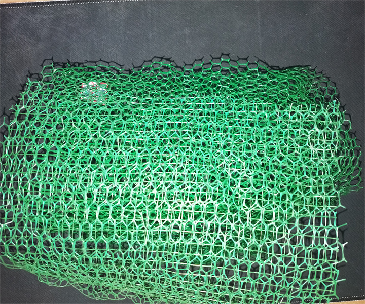 ���Sֲ���W